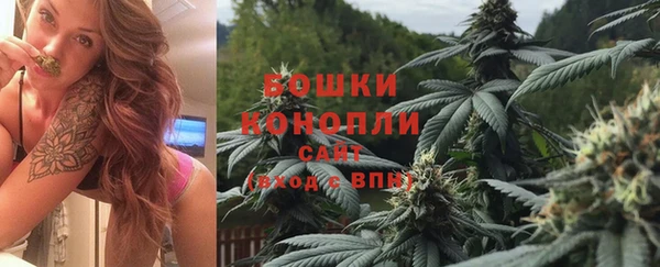 ГАЛЛЮЦИНОГЕННЫЕ ГРИБЫ Алексеевка