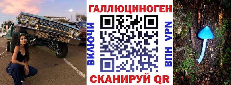 хочу   Ардатов  Псилоцибиновые грибы мицелий 